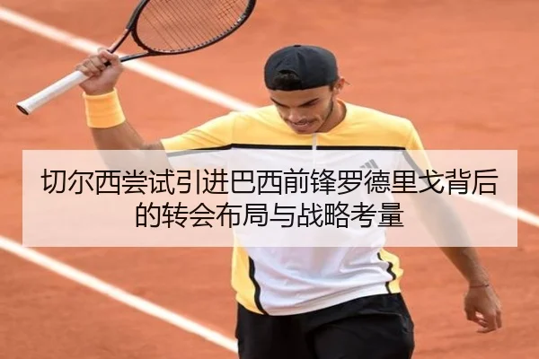 切尔西尝试引进巴西前锋罗德里戈背后的转会布局与战略考量
