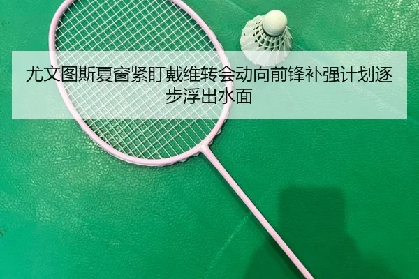 尤文图斯夏窗紧盯戴维转会动向前锋补强计划逐步浮出水面